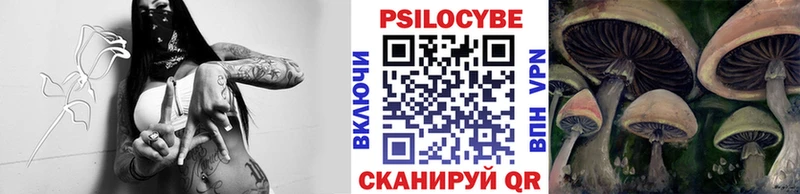 Псилоцибиновые грибы Psilocybine cubensis  Купить  Гаврилов-Ям 
